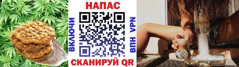 Cannafood марихуана  Донецк 