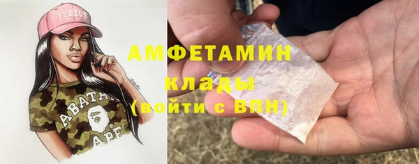 индика Гусев