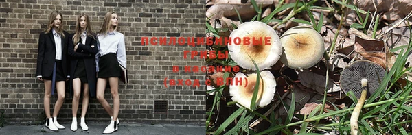 бутират Бородино