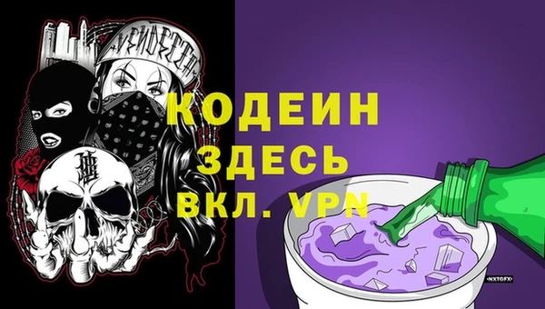 мдпв Богородицк