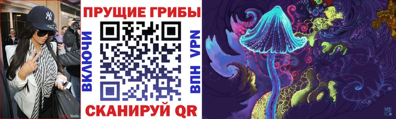 Псилоцибиновые грибы Cubensis  продажа наркотиков  Донецк 